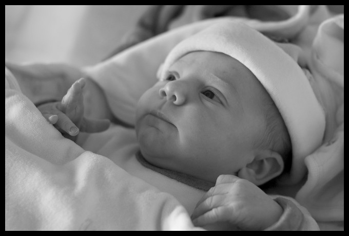 2008.04.17 - 047 r nb.jpg